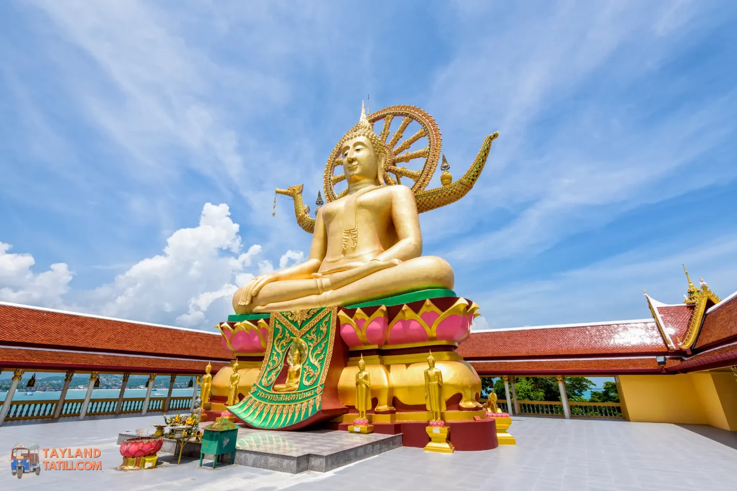 phuket turu